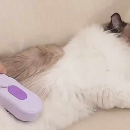 Cepillo de Vapor Removedor de Pelo para Mascotas